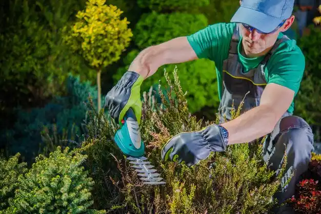landscaping services Cleveland Heights